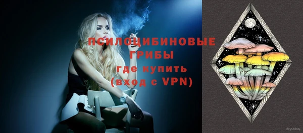 винт Армянск