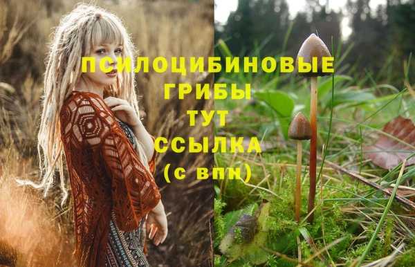 дживик Алексеевка