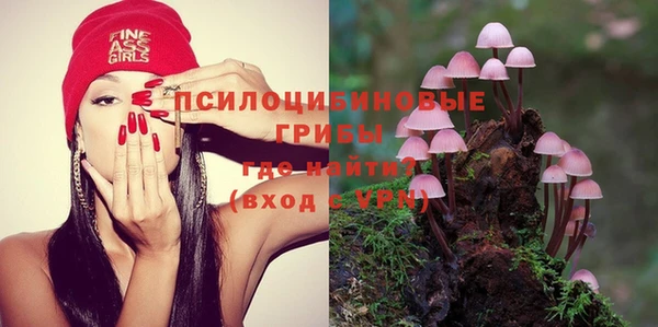 СК Алзамай