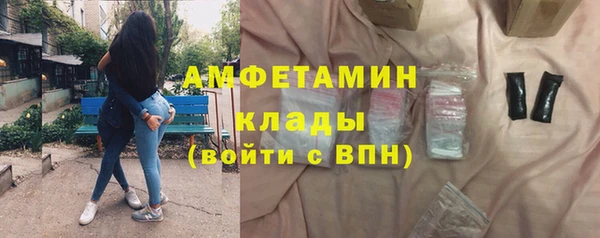 мет Алексин