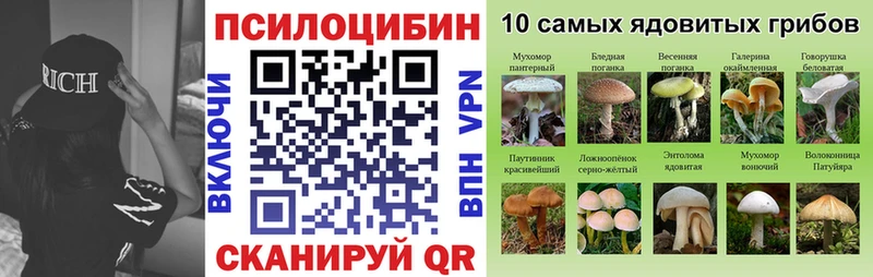 Галлюциногенные грибы ЛСД Купить где Мосальск