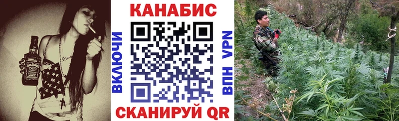 Каннабис конопля  Купить где  Мосальск 